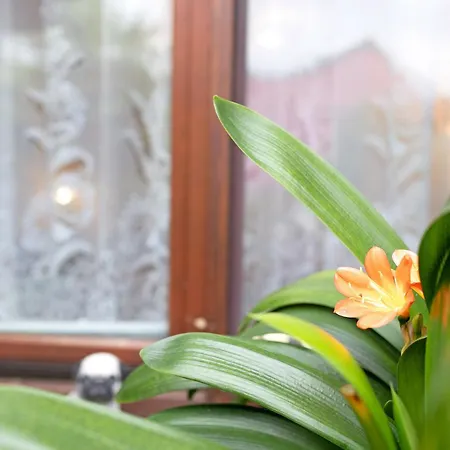 Hunziger's Zimmervermietung 3*