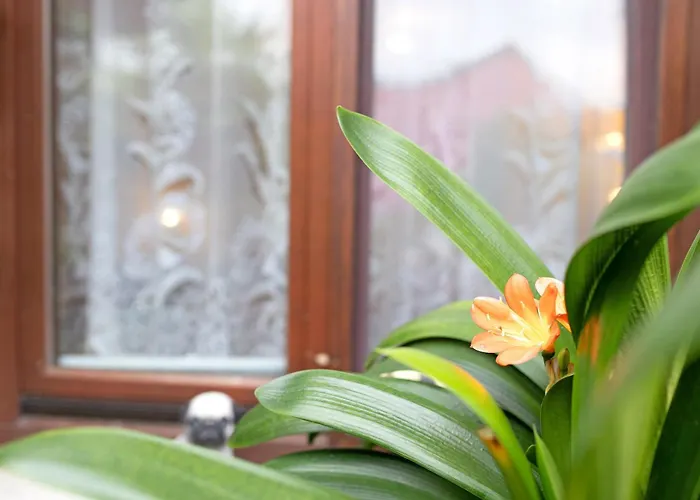 Hunziger's Zimmervermietung 3*